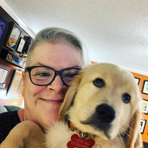 Pandemic Mode! Weekly Walkthrough Videos (video link included)