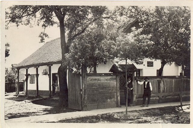 Arany János Nagyszalontán Bihar megyében született