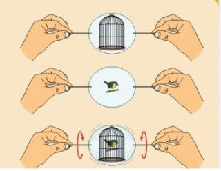 Invention of the Thaumatrope