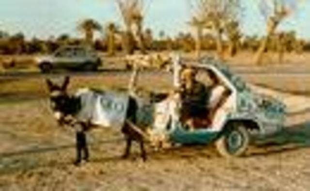 I'm Can Legally Drive Now!