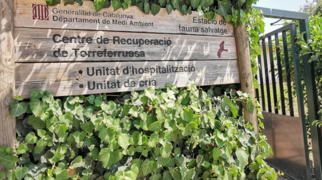 Se trasladan al Centro de Recuperación de la Fauna Salvaje 20 ejemplares adultos.