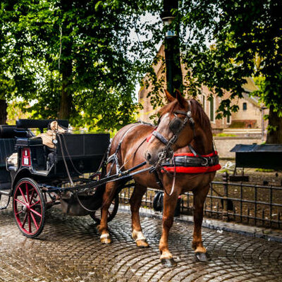 Timeline: The History of the Horse and Buggy