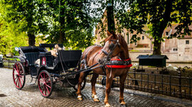 Timeline: The History of the Horse and Buggy