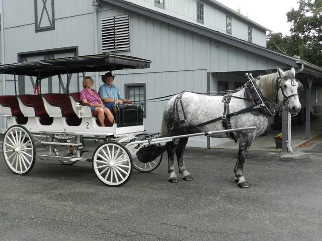 automobiles become more popular