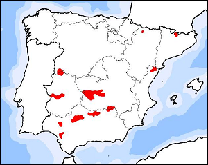 Se realiza una estimación de la población de linces