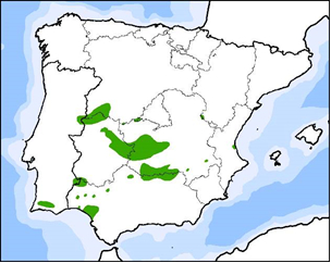 Se estudia nuevamente la distribución del lince
