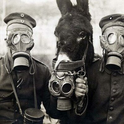 Timeline: 2º Evaluation Timeline