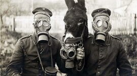 Timeline: 2º Evaluation Timeline