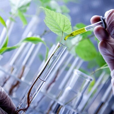 Timeline: Historia de la biotecnologia