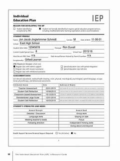 Individualized Education Program (IEP)