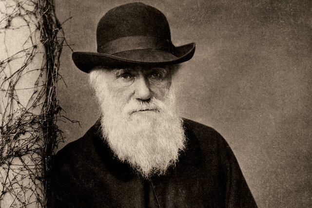 DARWIN E LA TEORIA DELL'EVOLUZIONE DELLA SPECIE