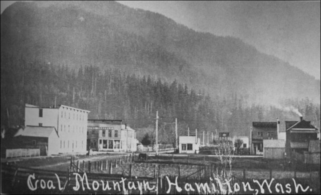 William Hamilton pregnant wife Louisa settle Hamilton