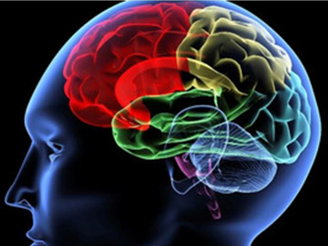 Neuropsicología Cognitiva