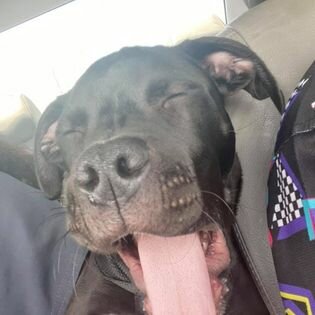 Meet My Broke Bestfriend