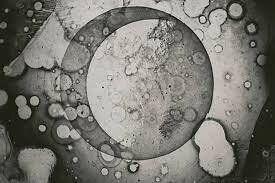 PRIMERA FOTO DE LA LUNA DESDE UNA NAVE