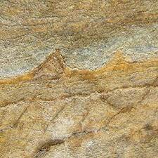 Primer indici de Vida