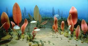 Apacion de una explocion