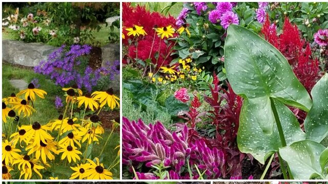 Van apareixer les plantes amb flor i llavos