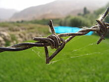Barbed wire
