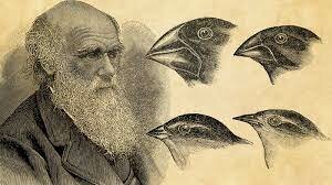 Charles darwin
