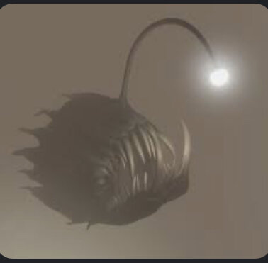 Anglerfish!