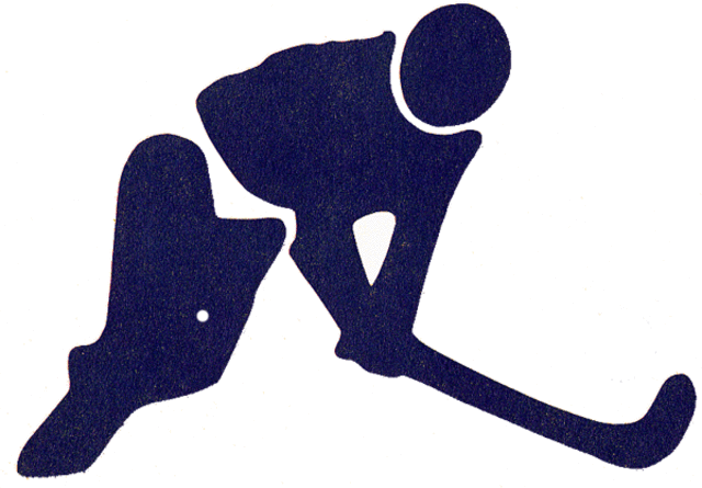 Internation womans field hockey match