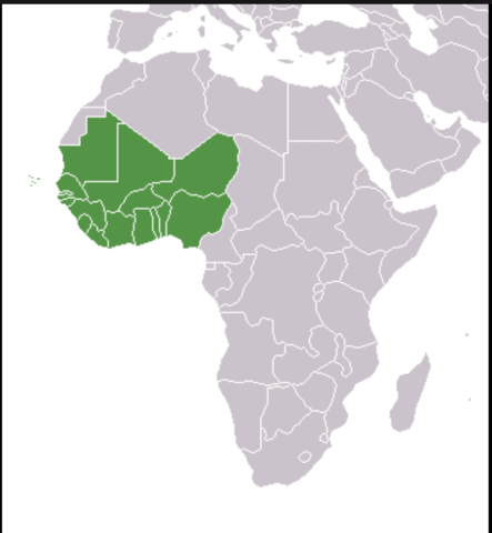 The city of Djenné-Djenno flourishes in West Africa