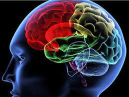 Neuropsicología Cognitiva