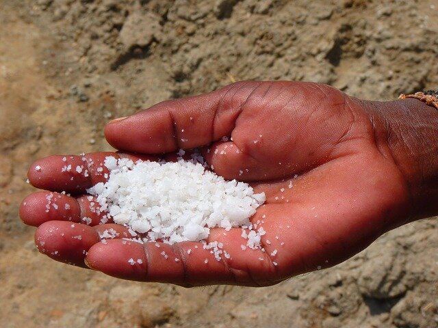 CE The Kanem Salt Trade