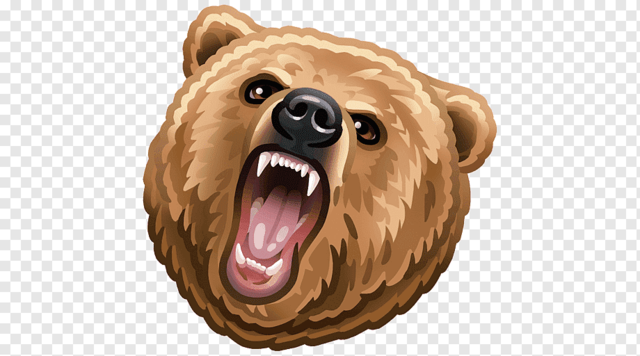 Características Oso Pardo