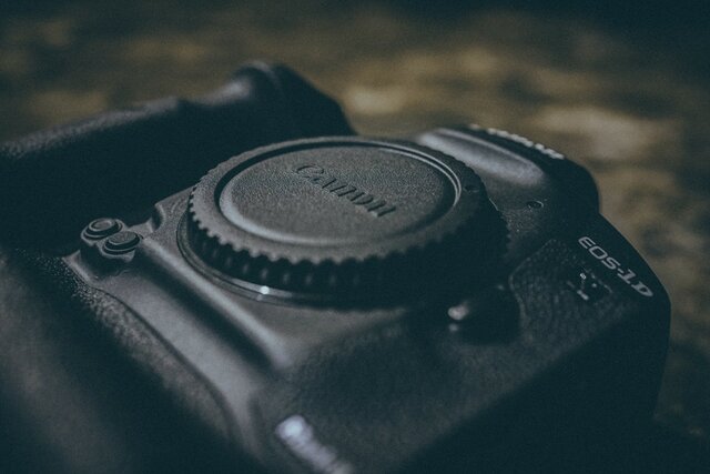 Digital Reigns Supreme