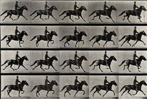 The first pictures of motion