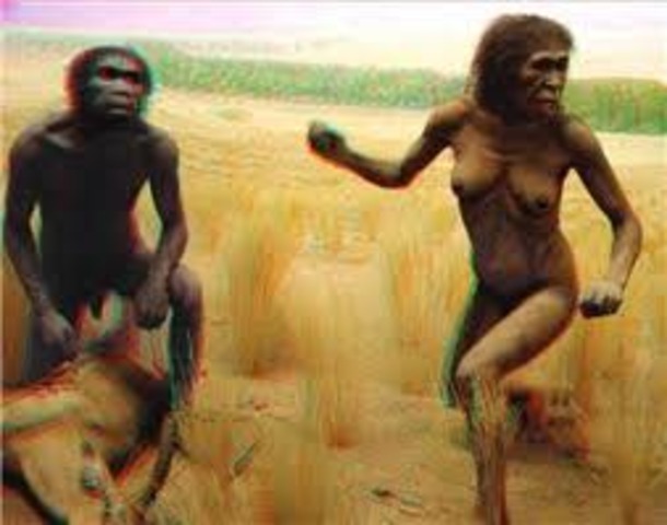 Australopithecus garhi: -2'5 millones de años