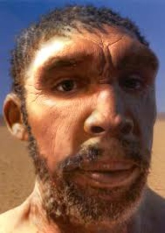 Homo rodhesiensis: entre -400.000 y -150.000 años