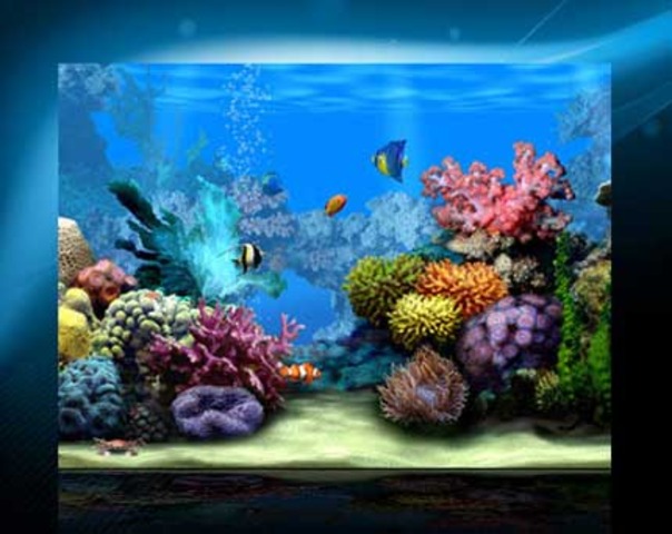 ACQUARIO