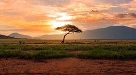 Timeline: Northwest Africa