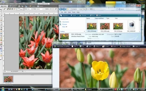 JOINT PHOTOGRAPHIC EXPERTS GROUP