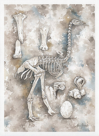 First sightings of humans in Madagascar (Tyler)