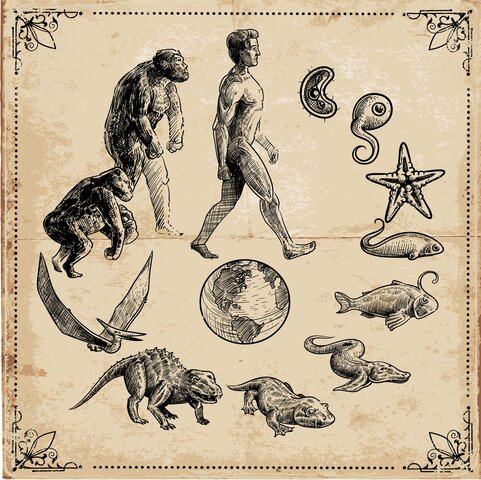 Publicación de la teoría de evolución de las especies de Darwin