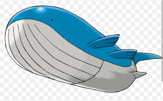 Wailord