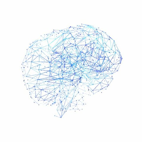 Universidad de Stanford se ponen a investigar sobre ‘sistemas expertos’