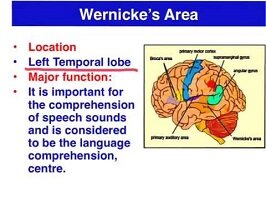 CARL WERNICKE (1848-1904).