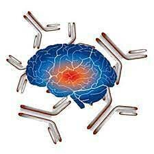 ARTHUR LESTER BENTON (1909 – 2006) - Neuropsicólogo y profesor de neurología y psicología