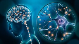 Timeline: La Neuropsicología en el tiempo