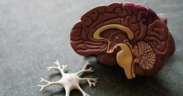 TÉRMINO “NEUROPSICOLOGÍA”.