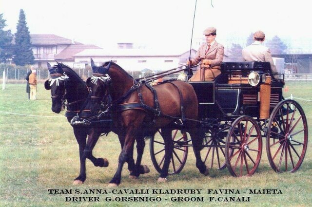 CAVALLI E CARROZZE