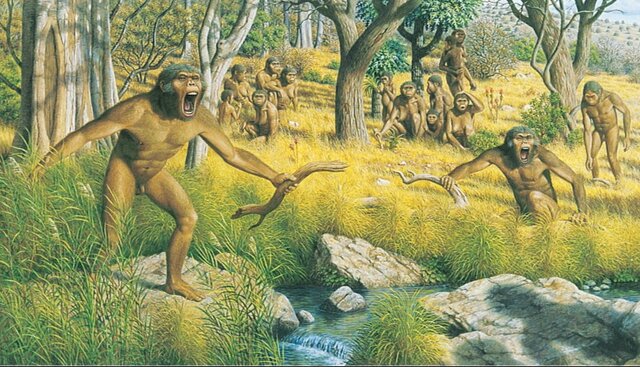 Prehistoria los primeros homínidos
