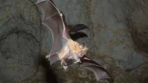 Comunidad Valenciana