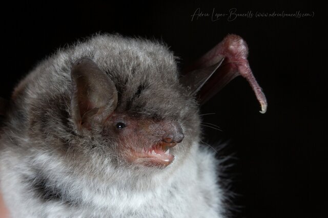 Exposiciones de apreciación