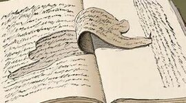 Timeline: Línea del tiempo - Narrativa